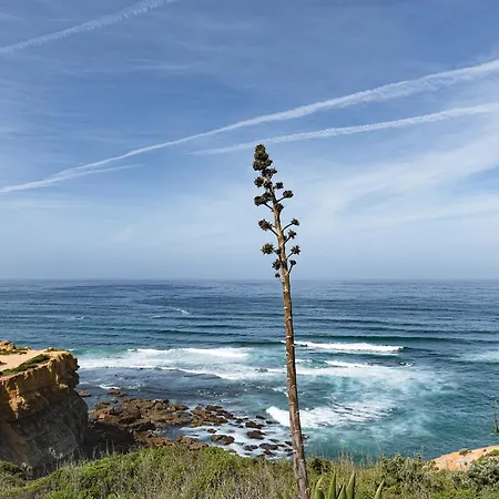 וילה Castelo De Mar אריסרייה